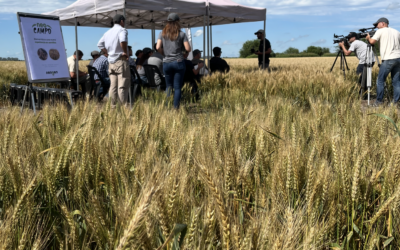 Neogen Semillas impulsa al agro y lanza productos con genética de vanguardia