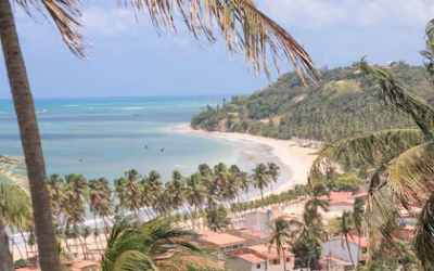Las mejores piscinas naturales del nordeste de Brasil, para nadar entre peces de colores