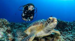 Buceo en Bali: los mejores arrecifes para descubrir el fondo marino