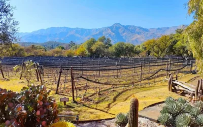 La impresionante “Toscana italiana” escondida entre las sierras cordobesas