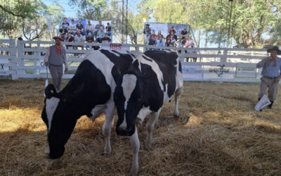 Precios sobresalientes en el remate de la Vidriera Genética