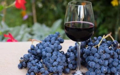 El dato que hunde al vino argentino: paga casi el doble de impuestos que en Chile