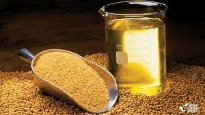 Por la menor cosecha, se espera una leve caída de la producción de harina y aceite de soja