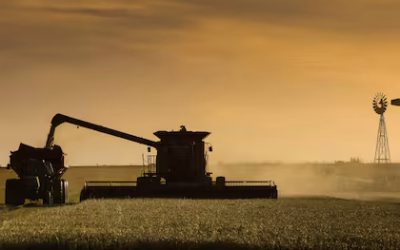 Impacto: en el primer día de la salida del cepo las cerealeras registraron 1,7 millones de toneladas de granos para exportar