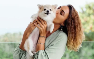 Documentos fundamentales para ingresar a la Argentina con perros y gatos