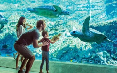 Una nueva atracción inmersiva recorre el Artico desde SeaWorld