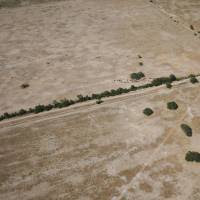 Economía declaró la emergencia agropecuaria para Chaco y Santa Fe