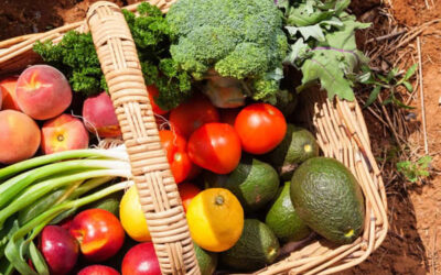 Nutriendo suelos, cultivos y personas