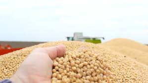 Demoras en la entrega de soja en Argentina: el ritmo más lento en 11 años