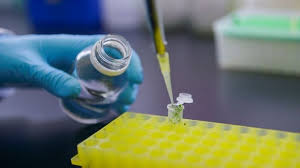 El Gobierno Nacional autorizó un nuevo evento transgénico de soja