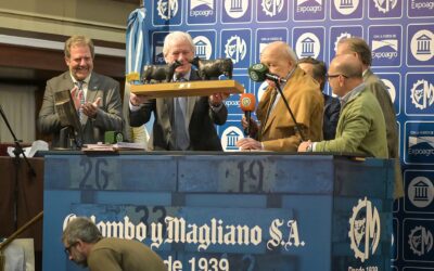 Histórico: se realizó el primer “Gran Remate” de hacienda en el Banco Nación