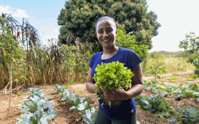 Tres historias de recuperación de la biodiversidad en América Latina