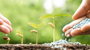 Los insumos, ante el nuevo escenario económico: “Va a ser un mercado más genuino, de uso productivo”