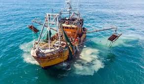 Economías regionales: el mapa productivo que impulsa las exportaciones argentinas  