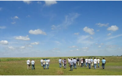 Economía argentina: impacto en el agro del nuevo esquema cambiario