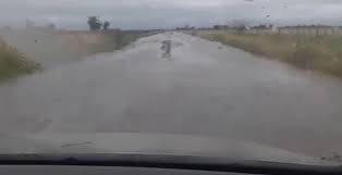 Lluvias extremas: cayeron hasta 300 milímetros en pocas horas, hay campos bajo el agua y caminos que son un mar