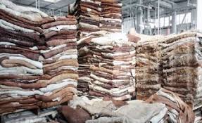 El desempeño exportador de carnes y cueros bovinos: cuánto, cómo y a dónde