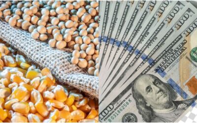 El mercado argentino de futuros agro alcanzó un récord de operaciones en 2025