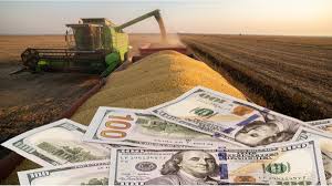 Argentina: el modelo con más de 140.000 ecuaciones que proyecta un salto exportador del agro de u$s 17.000 millones