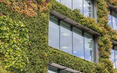 Fachadas verdes: todo lo que tenés que saber sobre esta tendencia en arquitectura y paisajismo