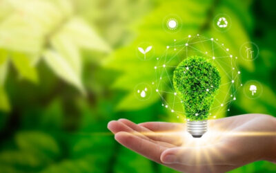 La energía que viene de la biomasa forestal