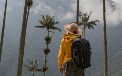 Viaje al eje cafetero de Colombia