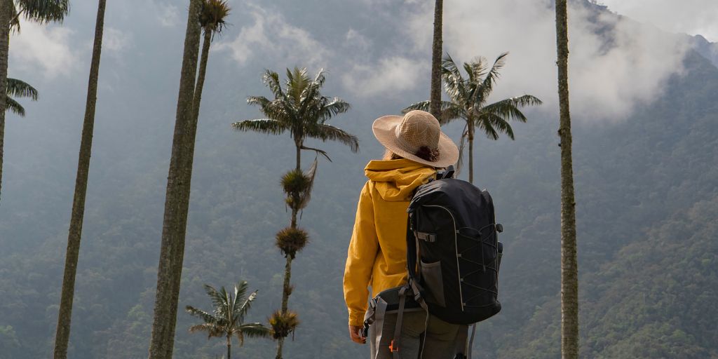 Viaje al eje cafetero de Colombia