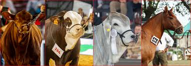 Con nuevas instalaciones en el predio, se inauguraron las Nacionales en Corrientes