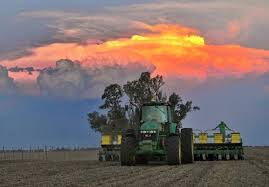 Santa Fe registra un récord histórico de área sembrada