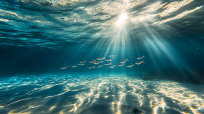 Un informe global advirtió por el calentamiento de los océanos entre Nueva Zelanda y Argentina