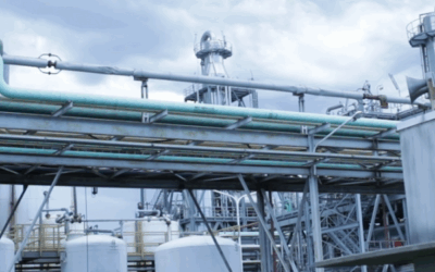 Combo bajista: Cayó la molienda argentina de soja y aumentaron las importaciones de poroto