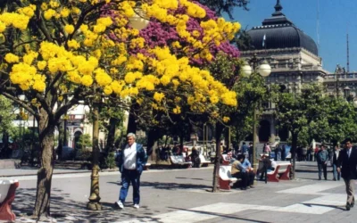 De Córdoba a Tucumán, los mejores destinos de la Ruta 157 para recorrer en el otoño