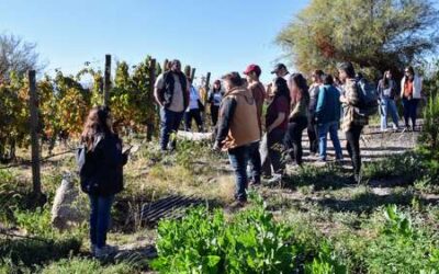 La Rioja te invita a recorrer la Ruta del Vino a bordo del Bus Turístico