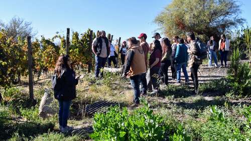 La Rioja te invita a recorrer la Ruta del Vino a bordo del Bus Turístico