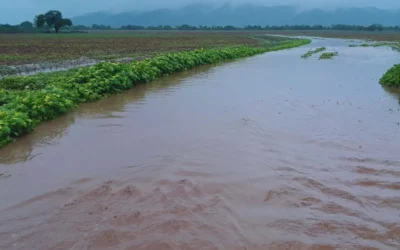 Manejo agrohidrológico: estrategia para mitigar la erosión