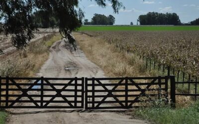 Alquiler de campos: Los 6 departamentos de Córdoba que aumentaron los quintales solicitados