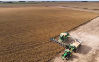 Cuello de botella: los millones de dólares que todos los años se pierden en el momento crucial de la cosecha