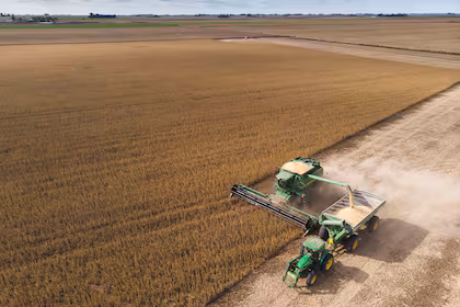 Cuello de botella: los millones de dólares que todos los años se pierden en el momento crucial de la cosecha