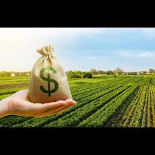 El aporte de Derechos de Exportación, DEX, en el primer semestre crece 24% vs. 2024