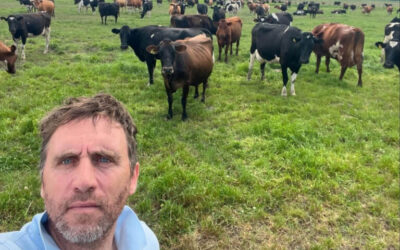 “La vaca no debe ser la vedette del tambo, sino una parte más del sistema”