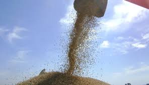 A un mes del nuevo esquema cambiario, se registraron ventas al exterior del agro por USD 3.861 millones