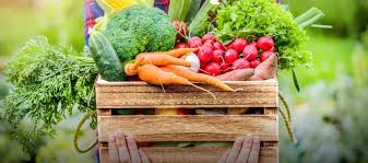 Hortalizas frescas: Nueva reglamentación para mercado interno y exportación