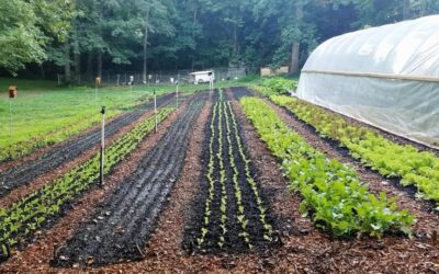 ¿Sabías que el suelo y las personas necesitan los mismos nutrientes?