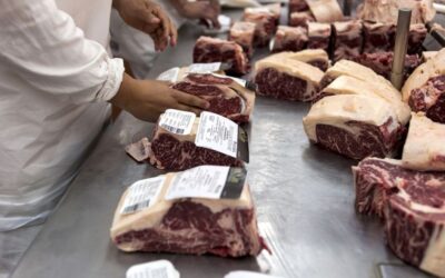 Las exportaciones de carne congelada tuvieron un repunte en abril