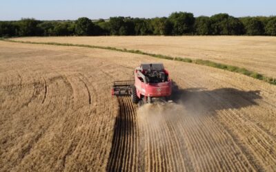 El sector agroexportador liquidó U$S 1.117 millones en octubre