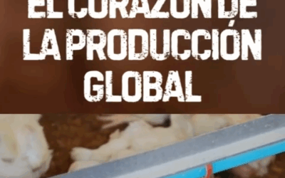 *El Mundo celebró el Día del Pollo: Una proteína que alimenta, genera empleo y transforma regiones