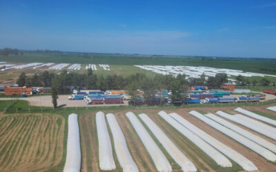 La poscosecha es la nueva frontera de la eficiencia agrícola