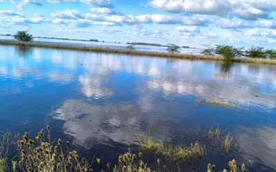 Buenos Aires, bajo el agua: la tragedia que cuesta millones de dólares