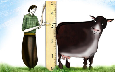 ¿Cómo encarar el invierno con la vaca preñada?