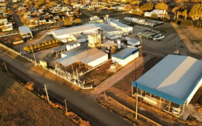La oveja blanca de la industria láctea: una Pyme familiar inauguró planta a contramano de tres paralizadas